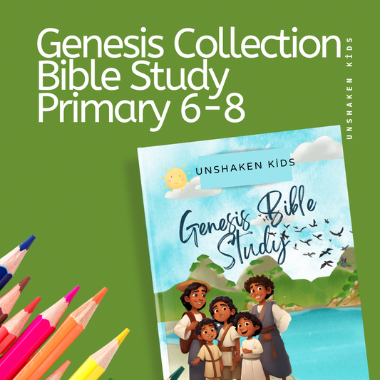 Genesis Bible Study 6-8